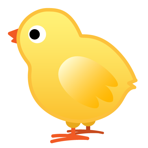 Pulcino