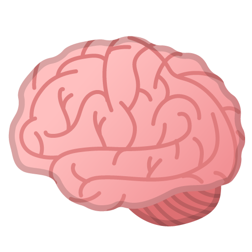 Cervello