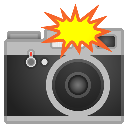 Fotocamera Con Flash