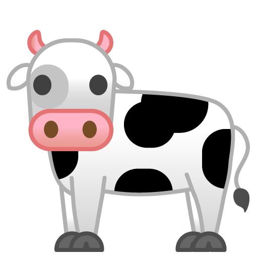 Mucca