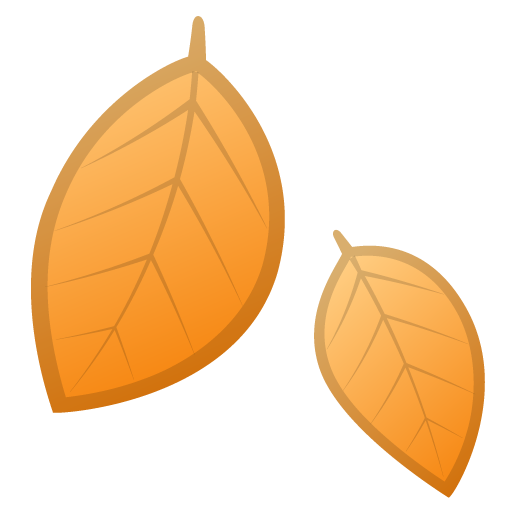 Foglia Caduta