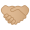 Stretta Di Mano: Carnagione Medio-Chiara