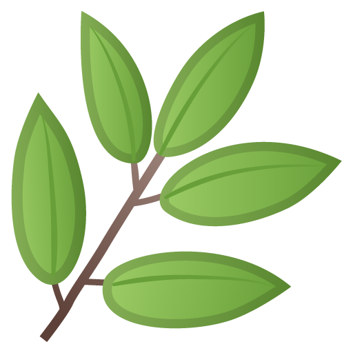Pianta