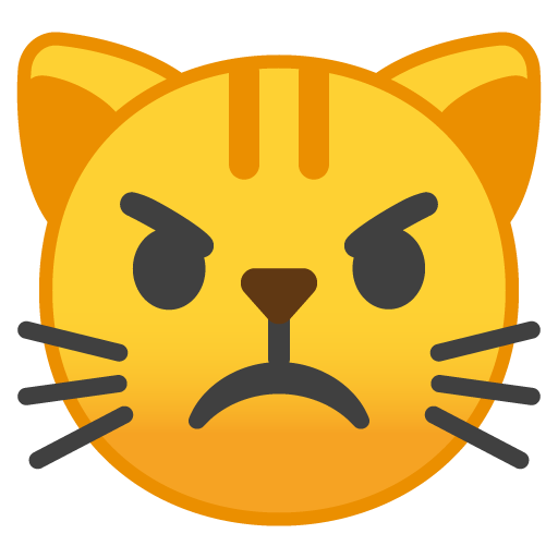 Gatto Imbronciato
