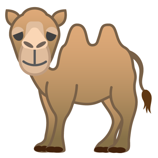 Cammello