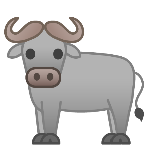 Bufalo D’Acqua