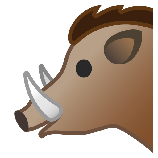 Cinghiale