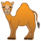 Dromedario