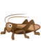 Grillo