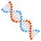 DNA