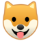 Muso Di Cane