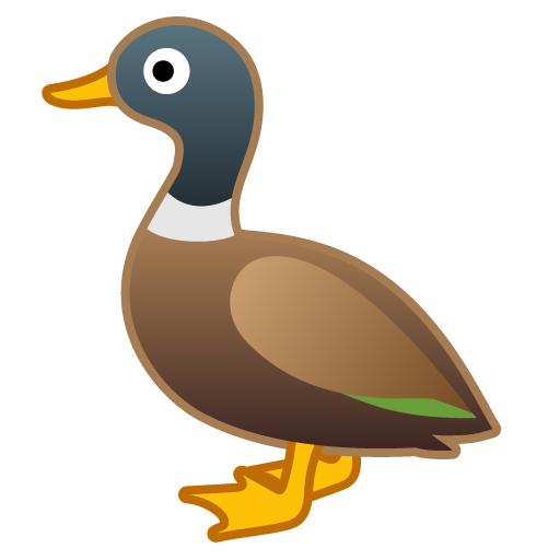 Anatra