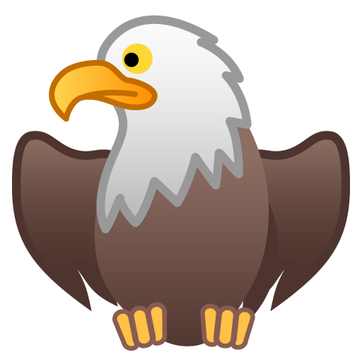 Aquila