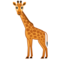 Giraffa