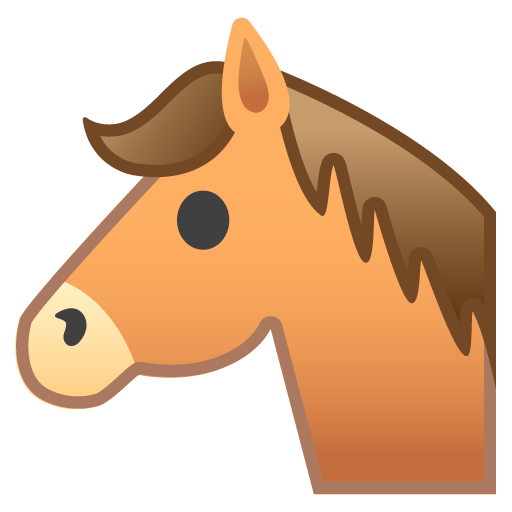 Muso Di Cavallo