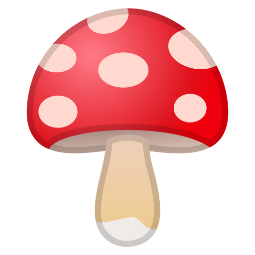 Fungo