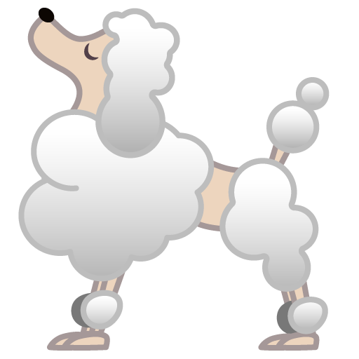Barboncino