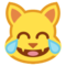Gatto Con Lacrime Di Gioia