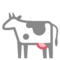 Mucca