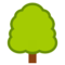 Albero Deciduo