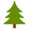 Albero Sempreverde