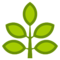 Pianta