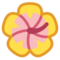 Ibisco