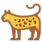 Leopardo
