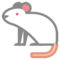 Topo
