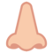 Naso