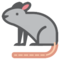Ratto
