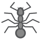 Ant Ant