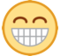 Beaming Face with Smiling Eyes Beaming Face with Smiling Eyes