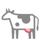 Cow Cow