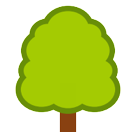 Deciduous Tree Deciduous Tree