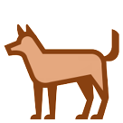 Dog Dog