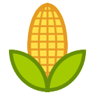 Ear of Corn Ear of Corn
