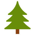 Evergreen Tree Evergreen Tree