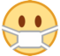 Face with Medical Mask Face with Medical Mask