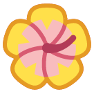 Hibiscus Hibiscus