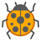 Lady Beetle Lady Beetle