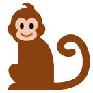 Monkey Monkey