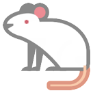 Mouse Mouse