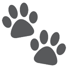 Paw Prints Paw Prints