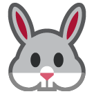 Rabbit Face Rabbit Face