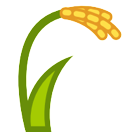 Sheaf of Rice Sheaf of Rice