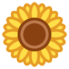 Sunflower Sunflower