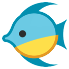 Tropical Fish Tropical Fish