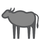Water Buffalo Water Buffalo