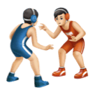 Борцы, Тип-1-2 для Huawei HarmonyOS 4.0